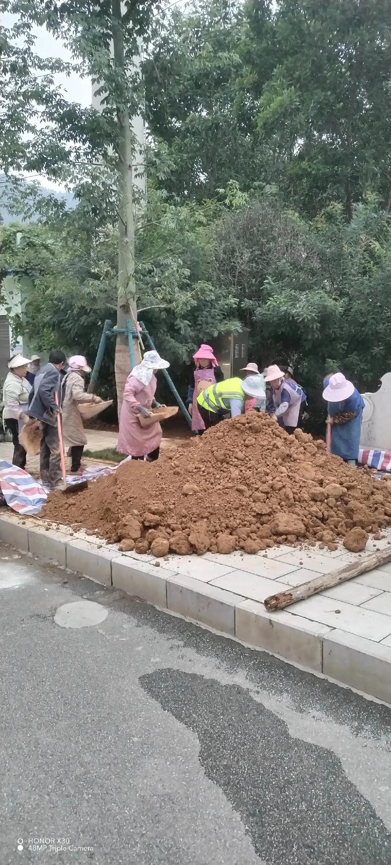 工程人忙忙碌碌又是一年,#园林绿化工程 #施工现场实拍 #园 - 抖音